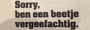 Vergeefachtig
